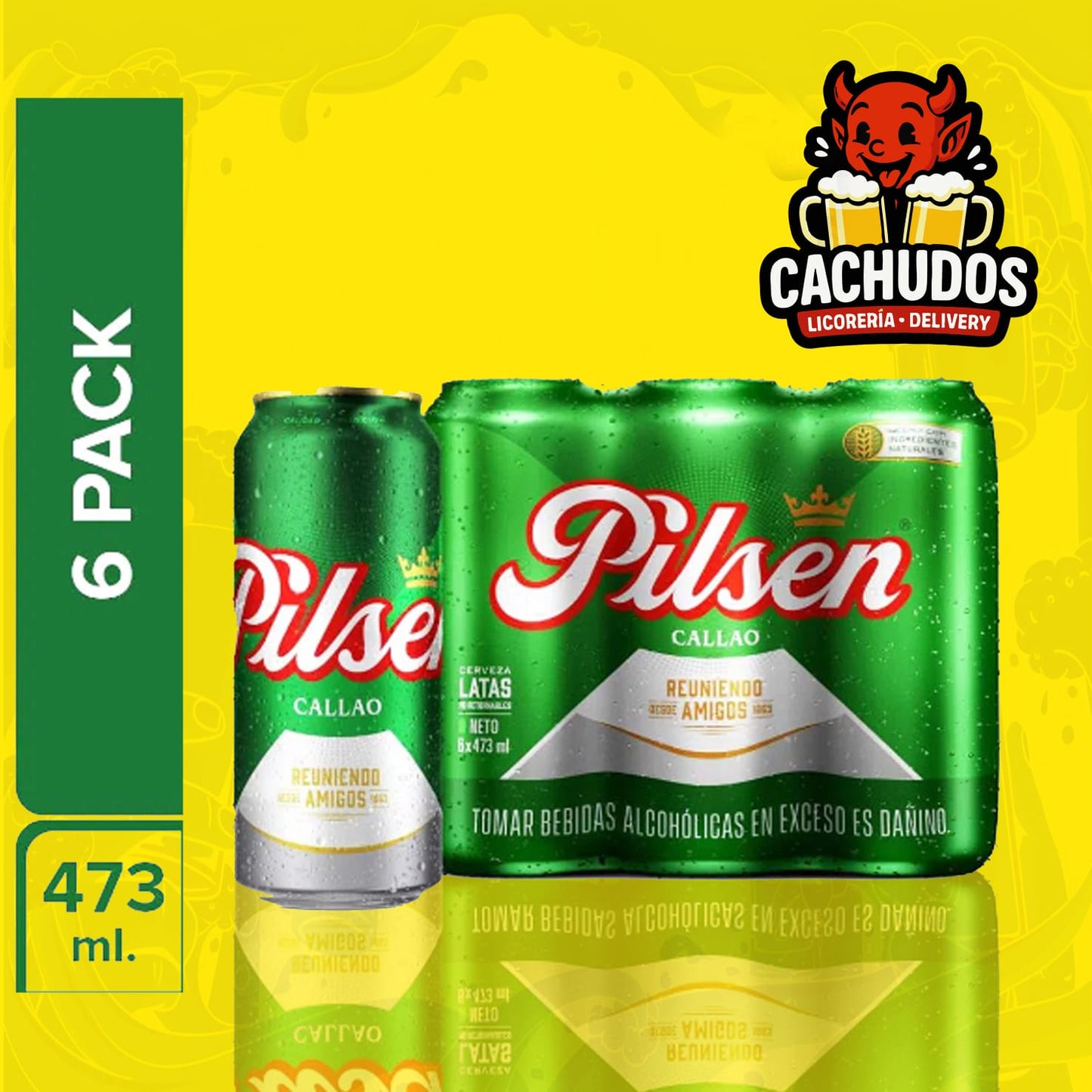Six Pack Pilsen 473ml