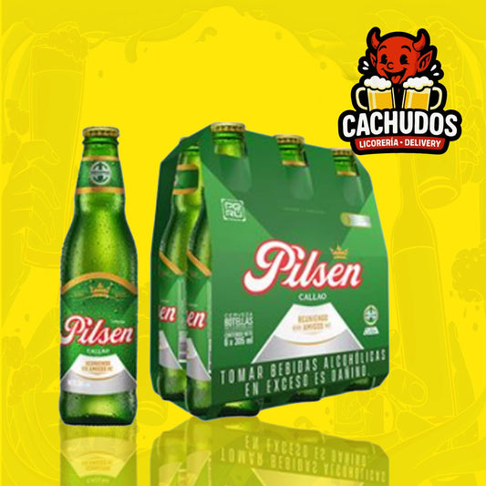 Six Pack Pilsen 305ml
